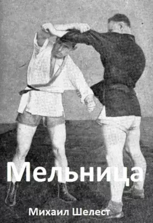 Мельница-4