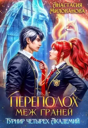 Переполох меж Граней. Турнир четырех Академий